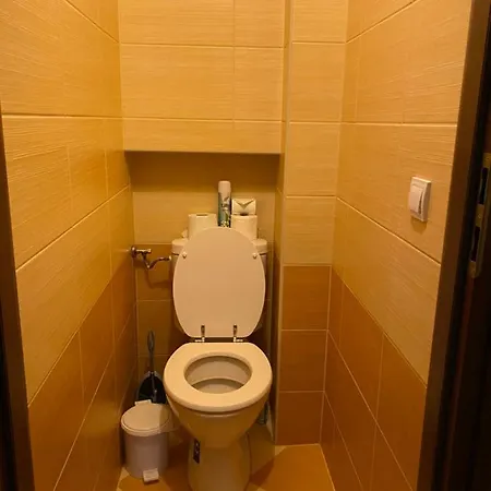 Apartment Platan *