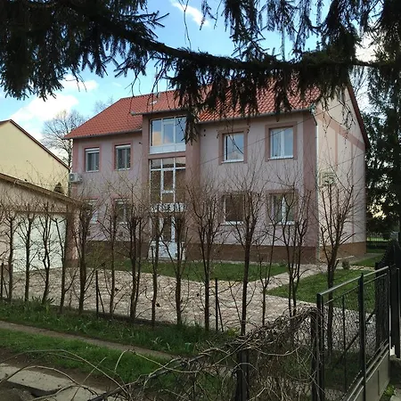 Platan * Hajduszoboszlo
