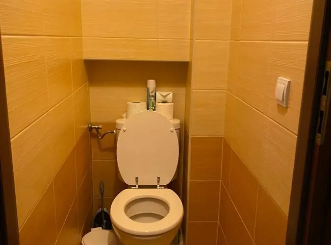 Apartment Platan *