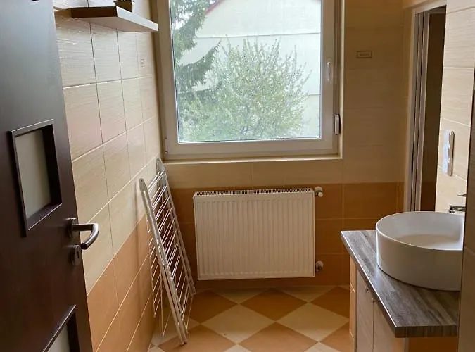 Platan Hajdúszoboszló
